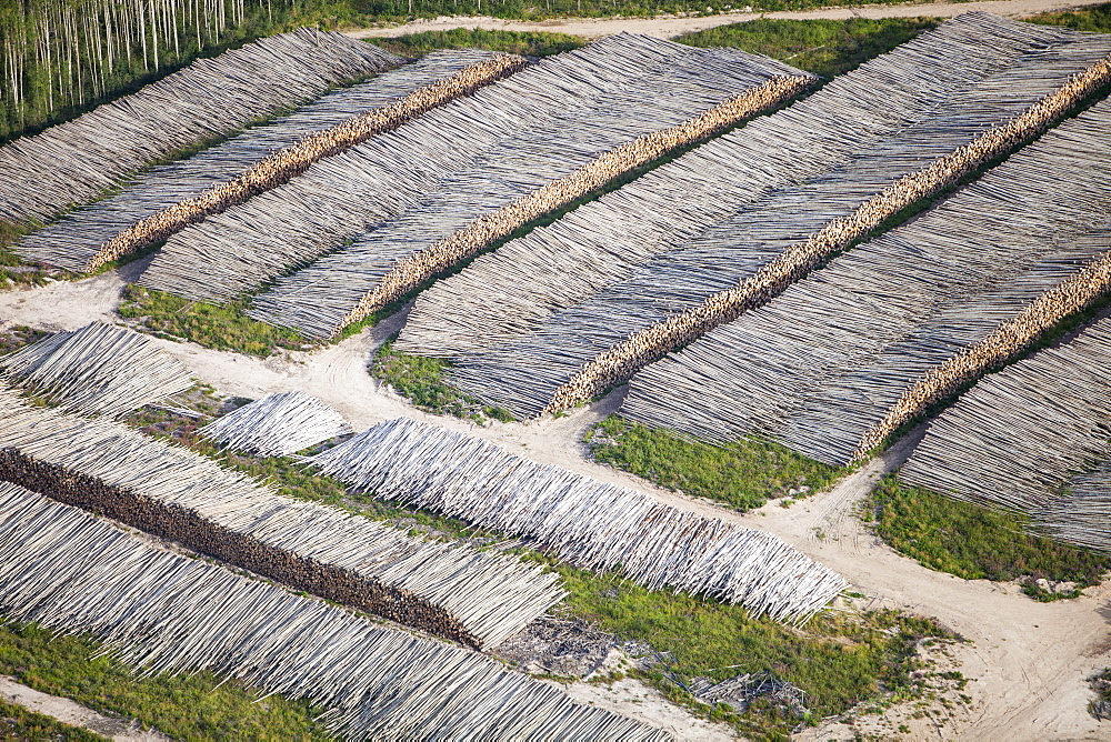 Boreal forest trees clear felled to make way for a new tar sands mine north of Fort McMurray, Alberta, Canada, North America