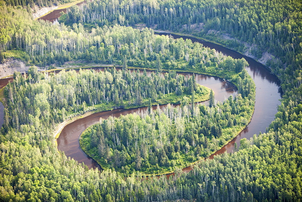 Boreal forest in Northern Alberta, near Fort McMurray, Alberta, Canada, North America