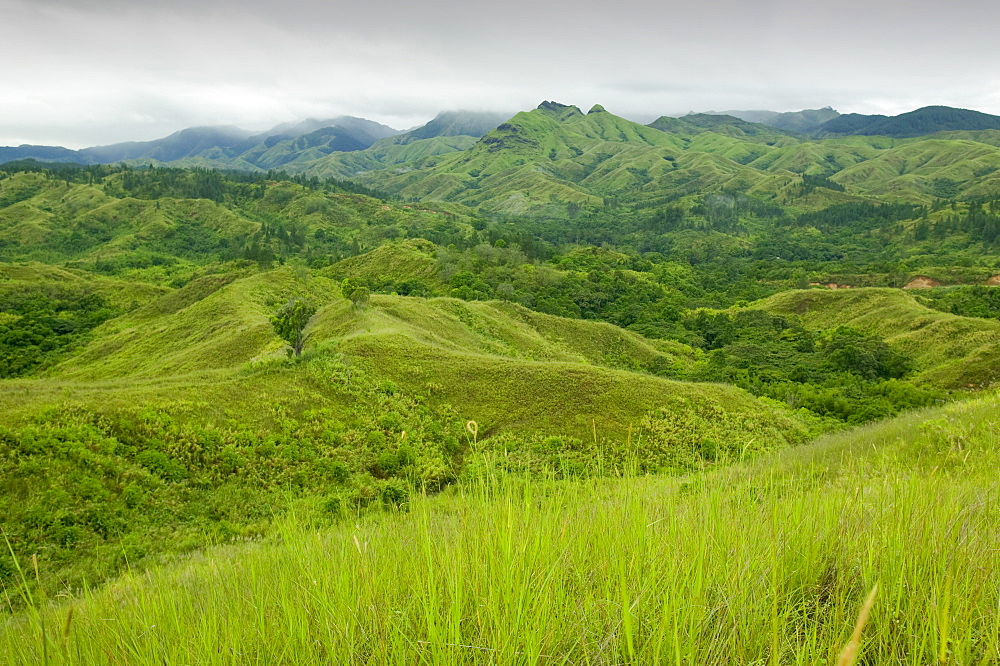 Deforestation of rainforest on Fiji, Pacific