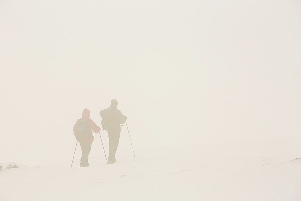 Walkers on Helvellyn in poor visibility, Lake District, Cumbria, England, United Kingdom, Europe