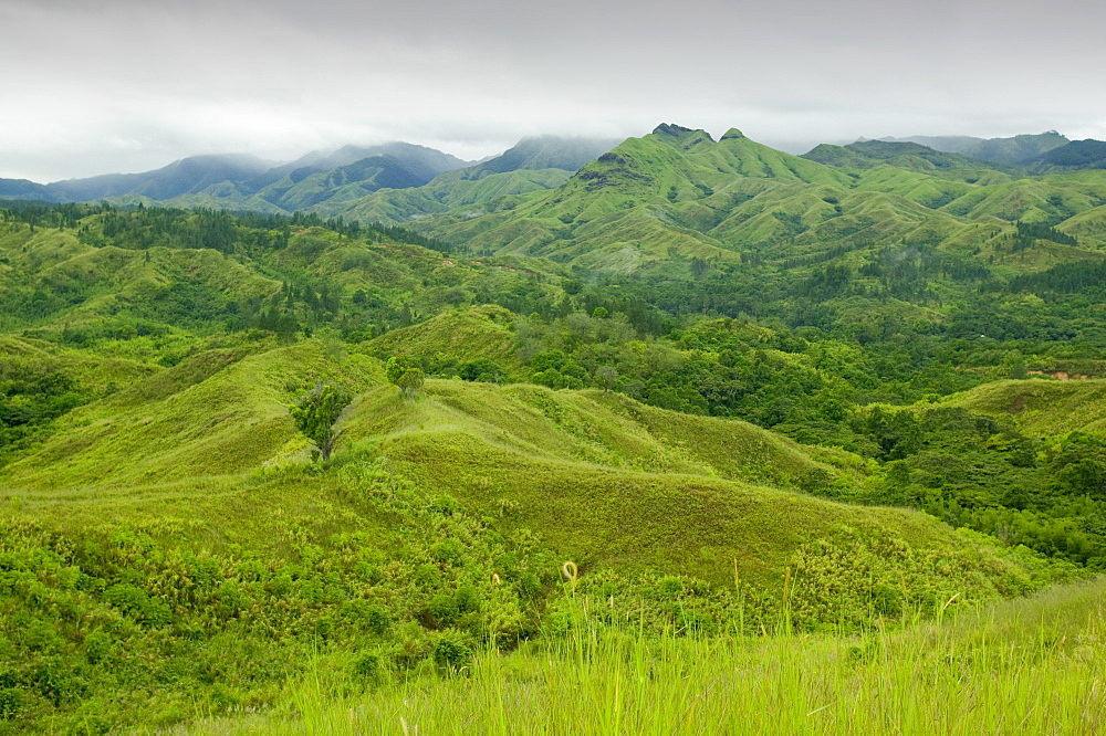 Deforestation of rainforest on Fiji, Pacific