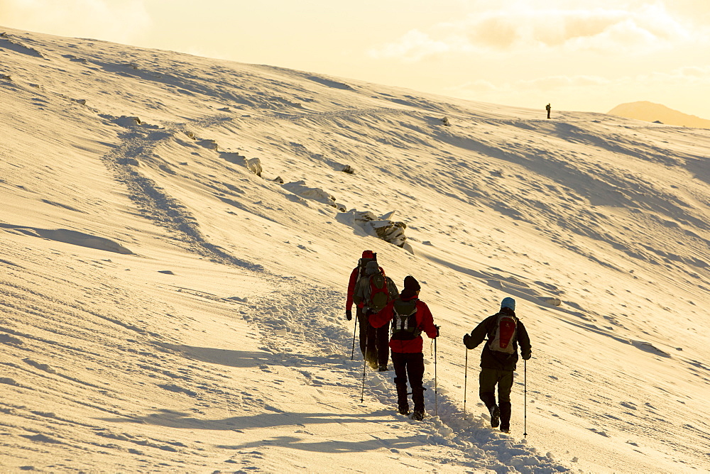 Walkers on Helvellyn in the snow at sunset, Lake District National Park, Cumbria, England, United Kingdom, Europe