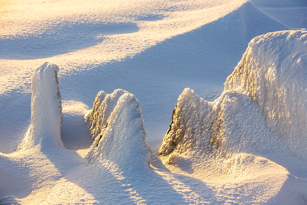 Hoar frost on rocks on the summit plateau of Helvellyn at sunset, Lake District National Park, Cumbria, England, United Kingdom, Europe