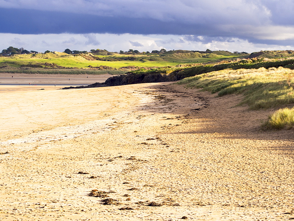 The Camel Estuary below Padstow, Cornwall, England, United Kingdom, Europe