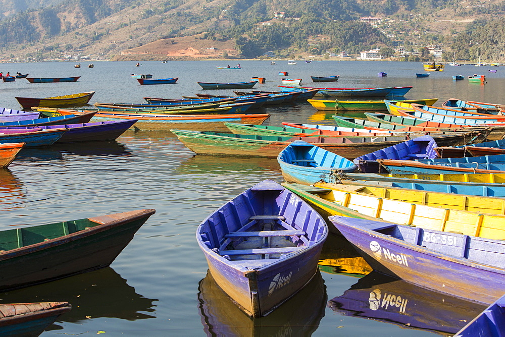 Rowing boats on Phewa Lake, Pokhara, Nepal, Asia