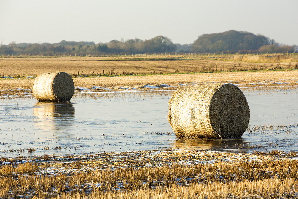 Straw bales on a flooded field on the Fylde, in Lancashire, England, United Kingdom, Europe