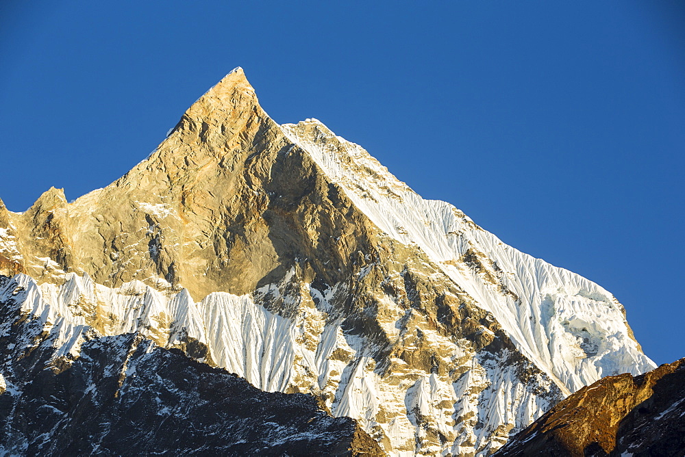 Machapuchare (Fish Tail) peak in the Annapurna Himalayas, Nepal, Asia