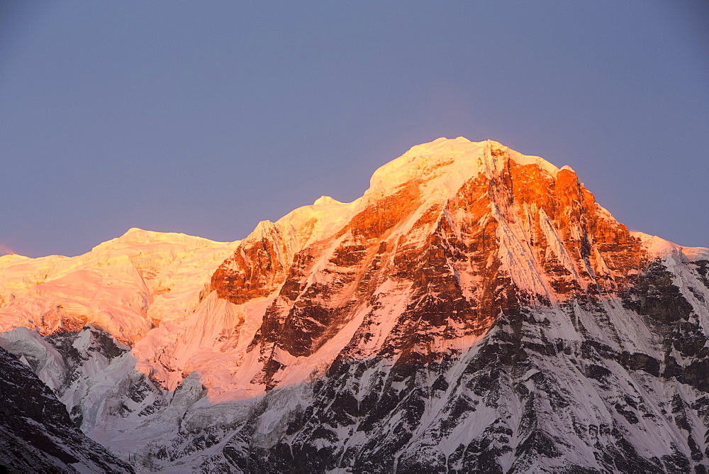 Alpenglow at sunrise on Annapurna South, Nepalese Himalayas, Nepal, Asia