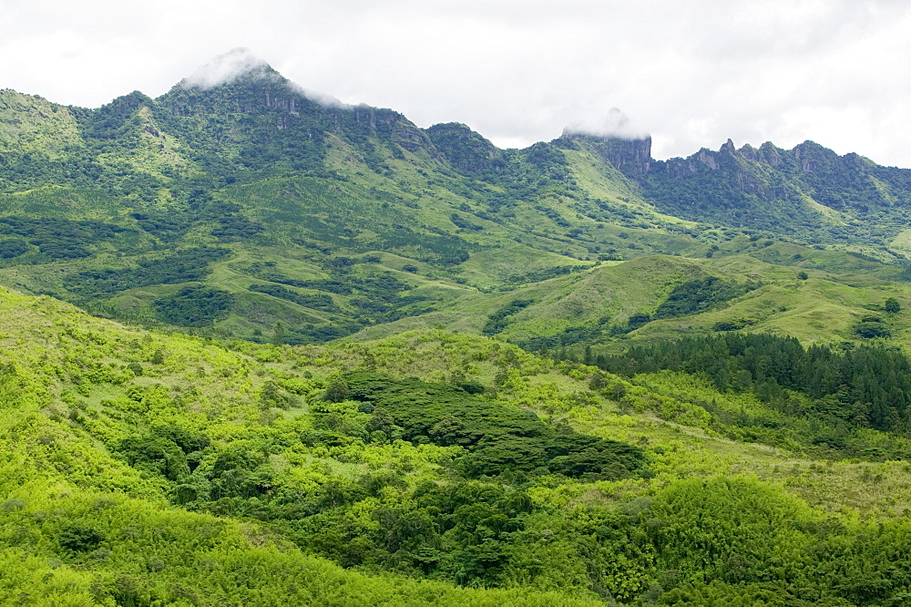 Remnants of rainforest near Bukaya in the Fijian highlands, Fiji, Pacific