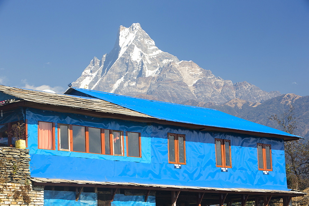 A tea house lodge at Annapurna Base Camp with Fish Tail peak beyond, Himalayas, Nepal, lAsia