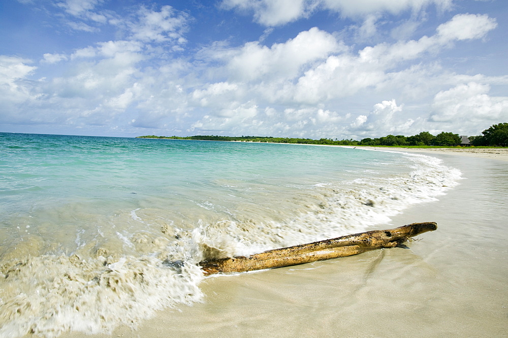 Tree trunk washed up on Nantandola Beach on Fiji, Pacific