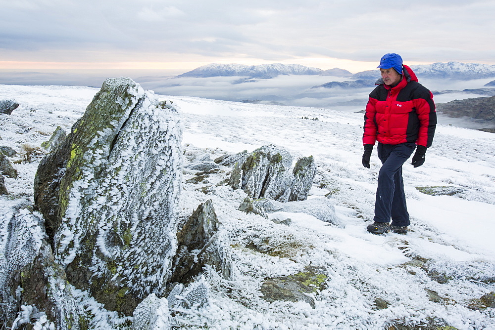 Walker on Red Screes above Ambleside with mist from a temperature inversion in background, Lake District National Park, Cumbria, England, United Kingdom, Europe