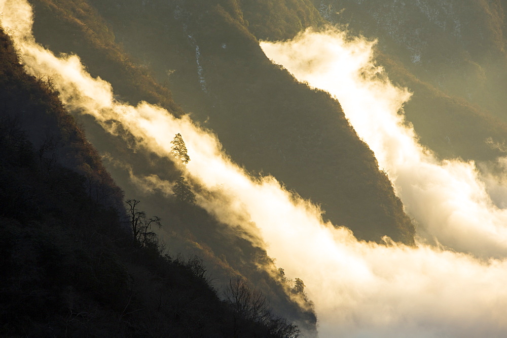 Mist moving up the Modi Khola valley in the Annapurna Sanctuary, in the Nepal Himalayas, Nepal, Asia