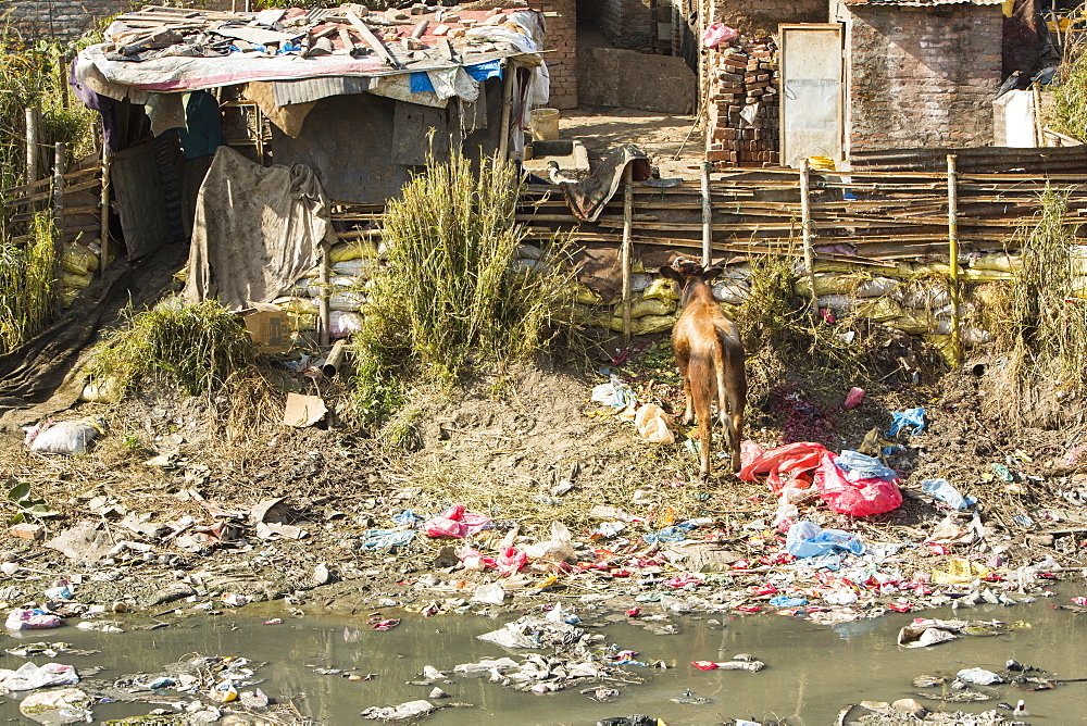 Litter in the Bishnumati River running through Kathmandu in Nepal, Asia