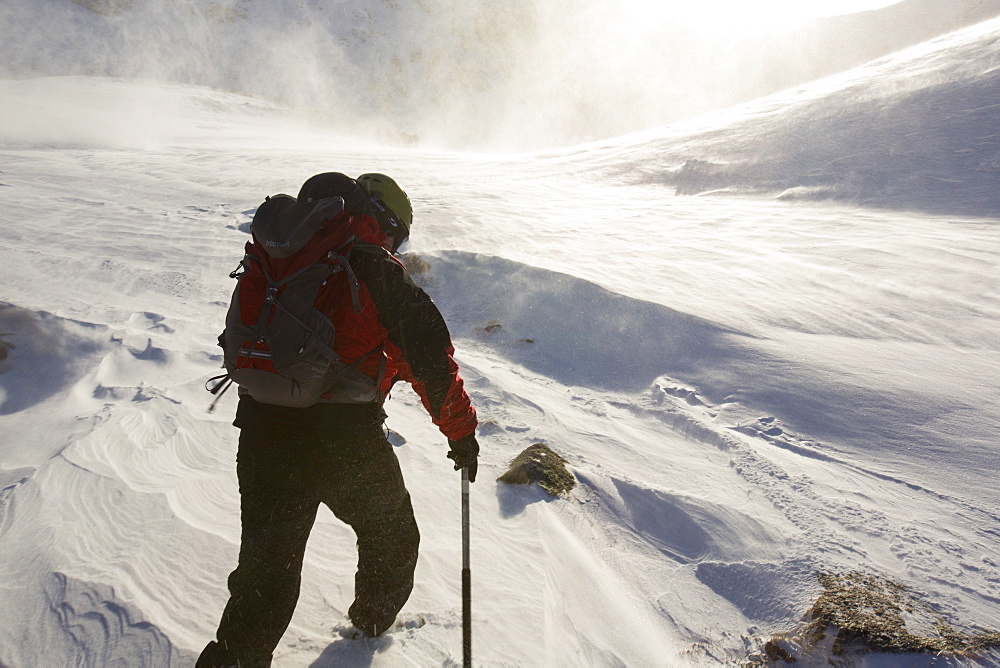 A climber battles blizzards and drifting snow in Coire an Sneachda in the Cairngorm mountains, Scotland, United Kingdom, Europe