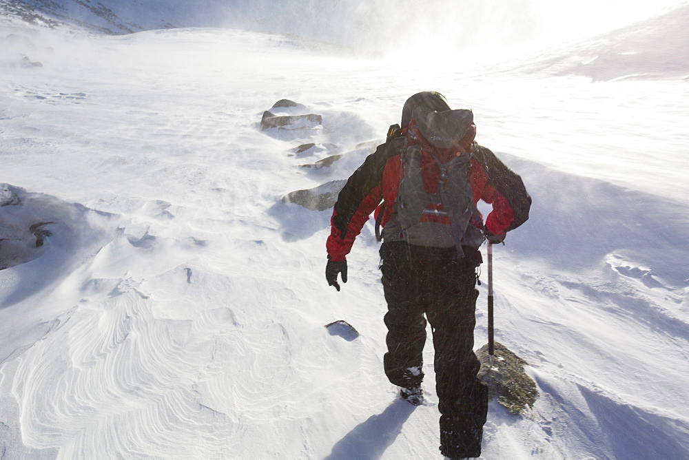 A climber battles blizzards and drifting snow in Coire an Sneachda in the Cairngorm mountains, Scotland, United Kingdom, Europe