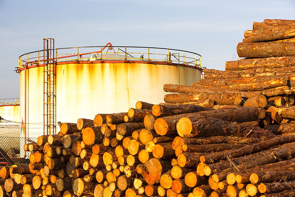 Logs bound for a biofuel power station in Workington next to oil tanks in Workington port, Cumbria, England, United Kingdom, Europe