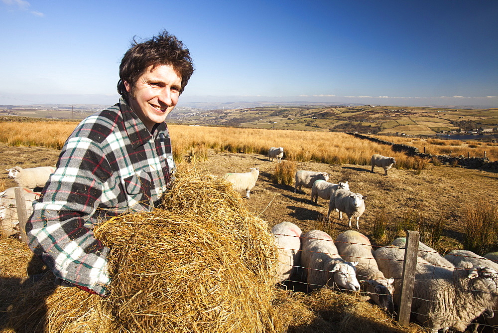 Walter Clay, a farmer feeding his sheep on Ovenden Moor near Keighley, West Yorkshire, Yorkshire, England, United Kingdom, Europe