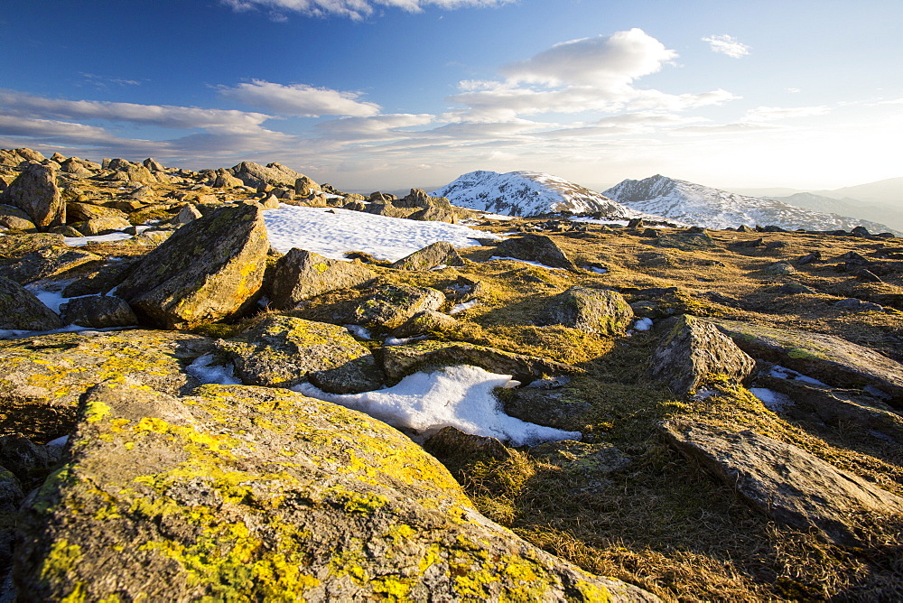 Lichen covered rocks on Swirl Howe above Wrynose, looking towards Dow Crag and Coniston Old Man, Lake District National Park, Cumbria, England, United Kingdom, Europe