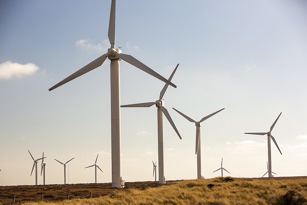 Ovenden Moor wind farm owned by Eon above Keighley, West Yorkshire, Yorkshire, England, United Kingdom, Europe