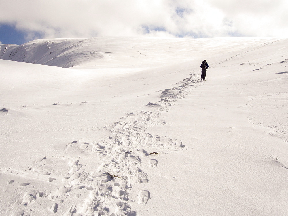 A walker on High Street in unseasonally cold weather in late March 2013, Lake District, Cumbria, England, United Kingdom, Europe