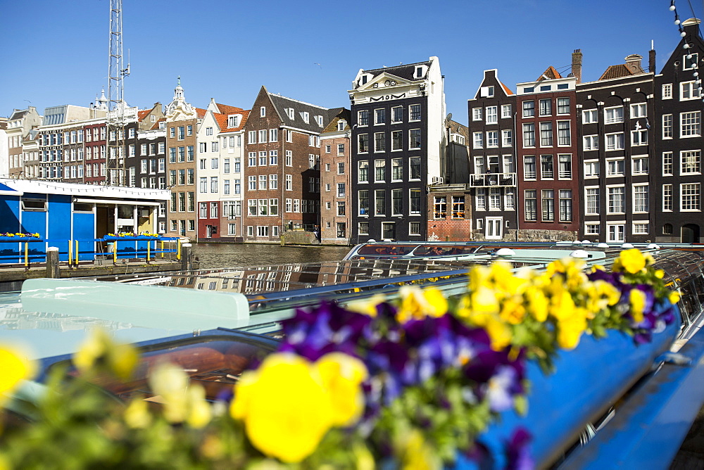 Tour boats in front of old houses, Amsterdam, Netherlands, Europe