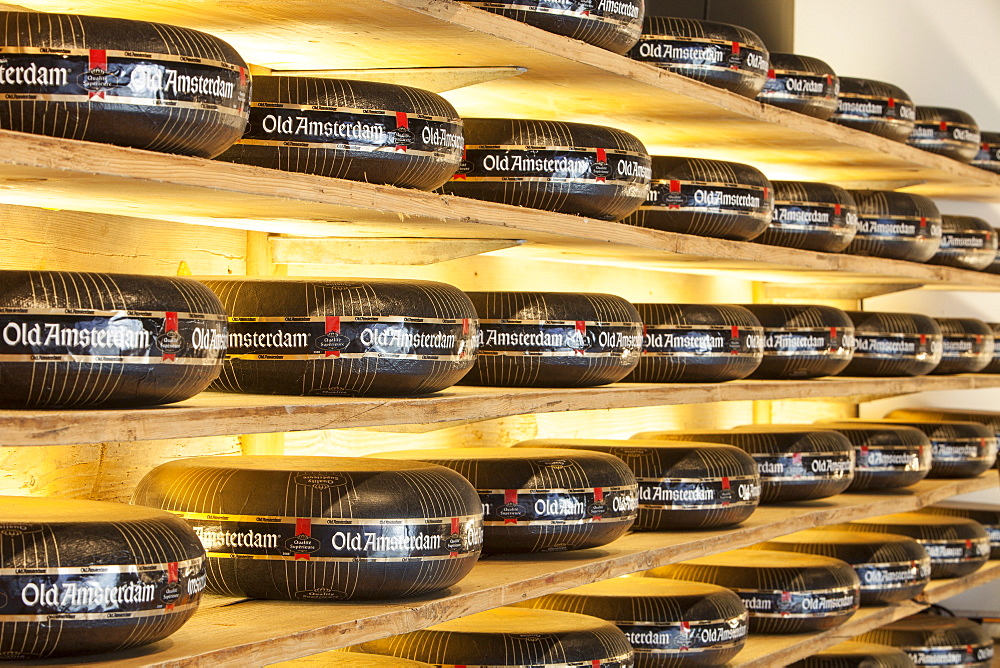 Cheese in a cheese shop in Amsterdam, Netherlands, Europe