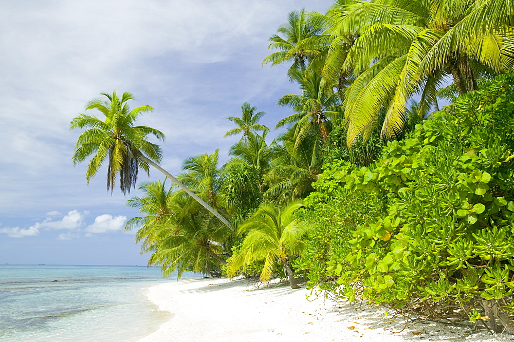 Funafuti atoll, Tuvalu, Pacific