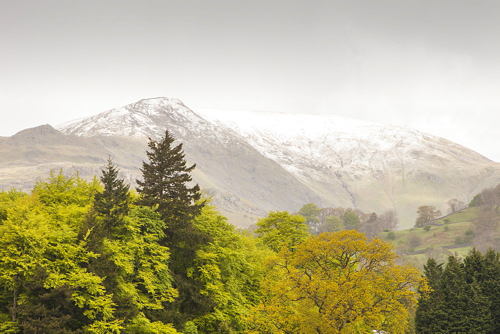 Fresh snow on the summit of Fairfield at the end of May, following one of the coldest Springs on record, Lake District National Park, Cumbria, England, United Kingdom, Europe