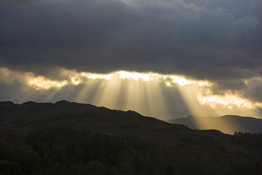 Jacobs Ladders, shafts of sunlight streaming through gaps in the cloud in the evening, over Loughrigg Fell in the Lake District National Park, Cumbria, England, United Kingdom, Europe