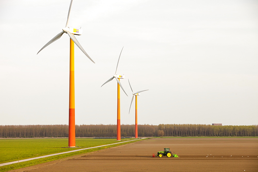 Colourful wind turbines in polders, reclaimed land near Almere, Flevoland, Netherlands, Europe