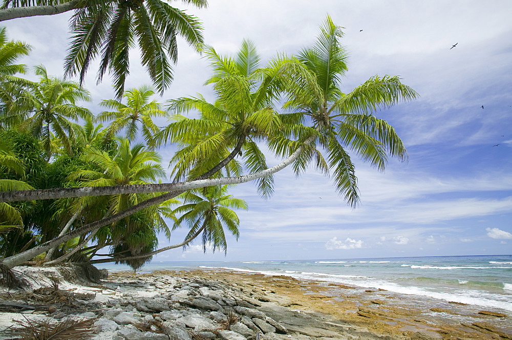 Tepuka island off Funafuti, Tuvalu, Pacific