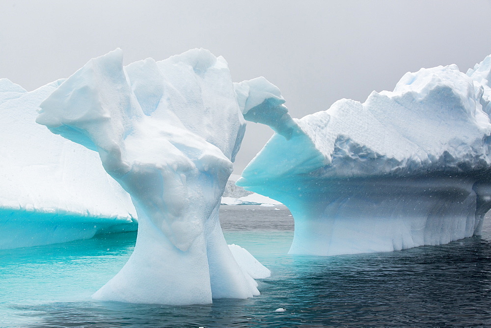 Icebergs oof Curverville Island on the Antarctic Peninsular, which is one of the fastest warming places on the planet.