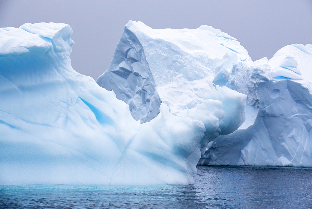 Icebergs oof Curverville Island on the Antarctic Peninsular, which is one of the fastest warming places on the planet.