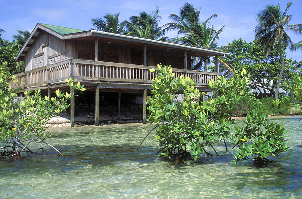 Mangrove cleared for holiday home, South Water Cay, Belize