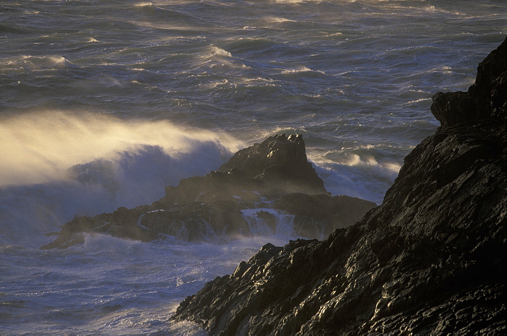 Storm wave breaking on Deer Park, Marloes, Pembrokeshire, Wales, UK         (rr)