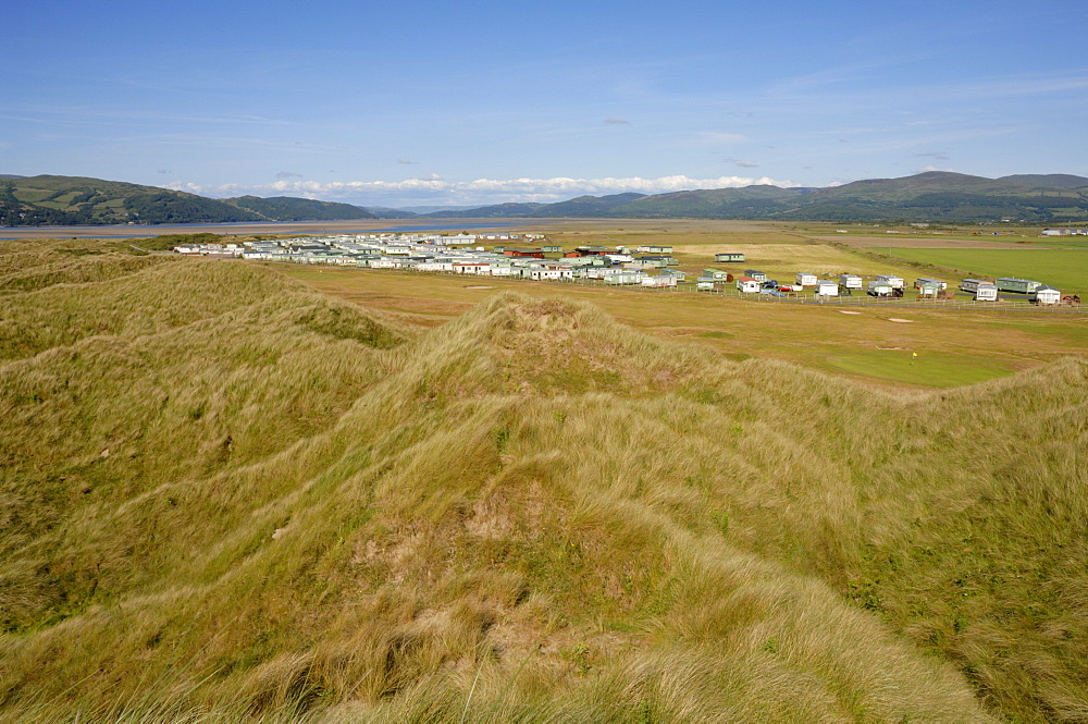 Ynyslas dunes, National Nature Reserve, Ceredigion, Wales, UK, Europe