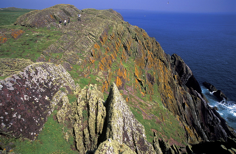 Walkers on Skokholm Island, Pembrokeshire, West Wales, UK