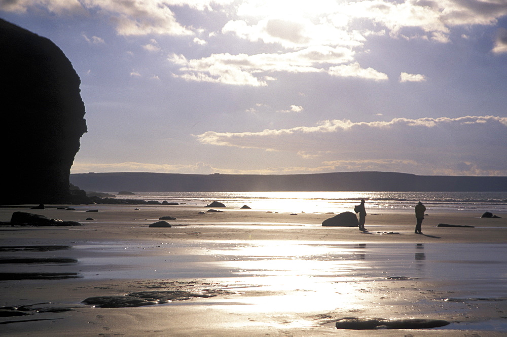 People walking on beach at low tide, Druidston Haven, Pembrokeshire, Wales, UK, Europe