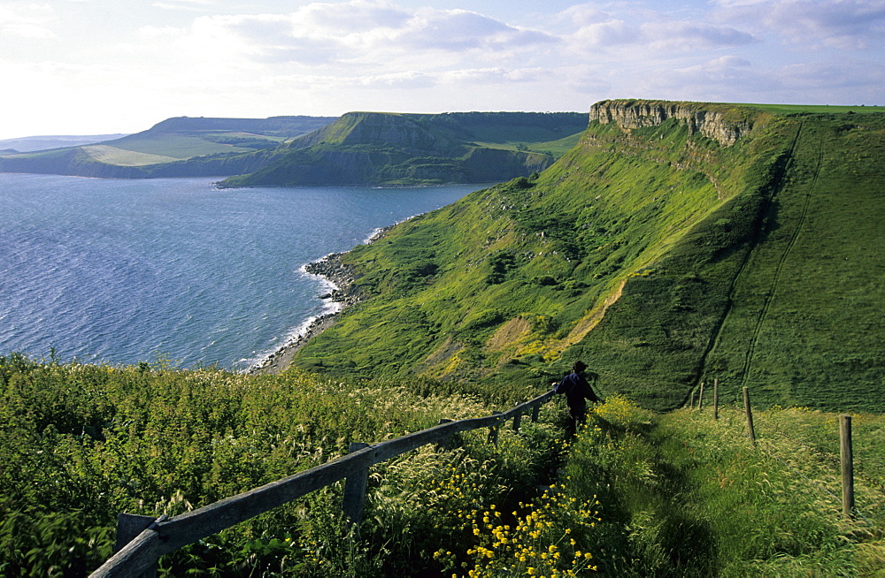 St. Aldhelm's or St. Alban's Head or Dorset, England, UK, Europe