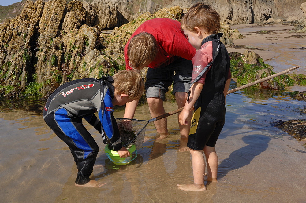 Rockpooling, Marloes Sands, Pembrokeshire, Wales, UK