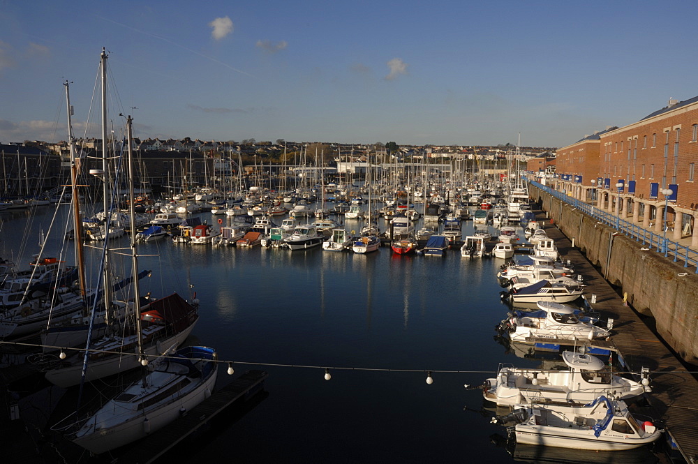 Milford Haven Docks and marina, Milford Haven, Pembrokeshire, Wales, UK, Europe