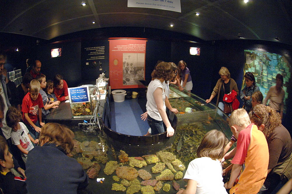 Touch tank, Oceanopolis, Brest, Britanny, France, EU