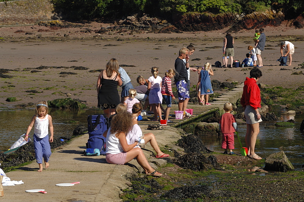 Families crab fishing on stone bridge, Sandy Haven, Milford Haven, Pembrokeshire,  Wales, UK, Europe