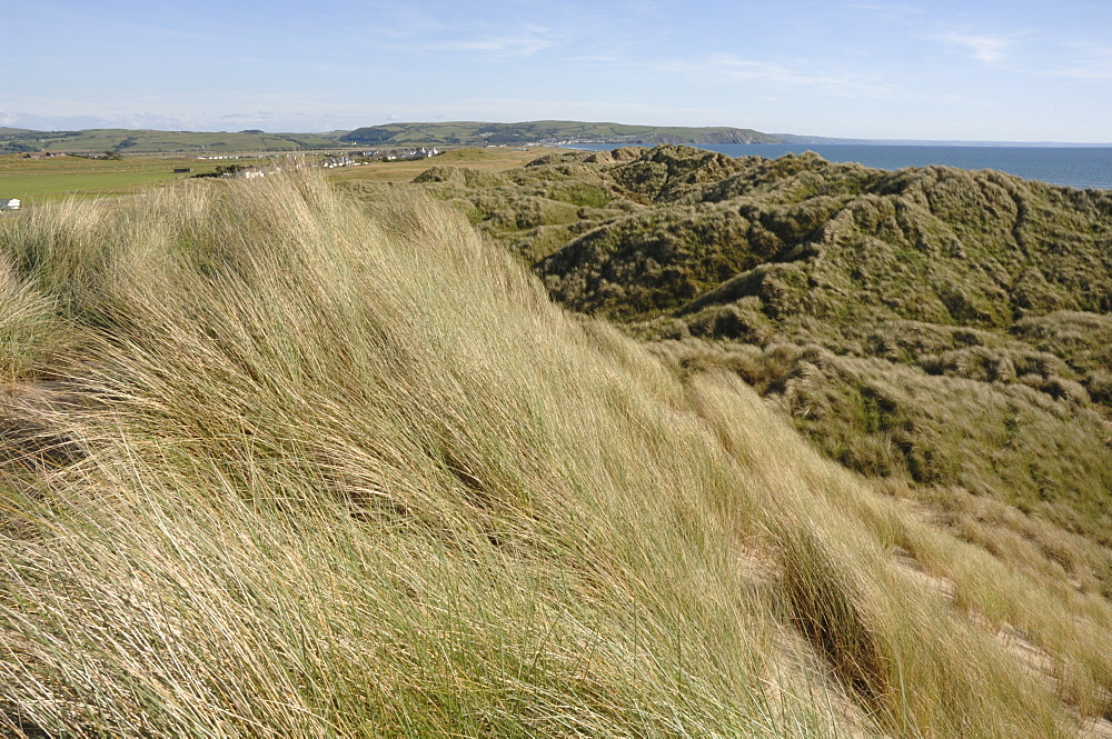 Ynyslas dunes, National Nature Reserve, Ceredigion, Wales, UK, Europe