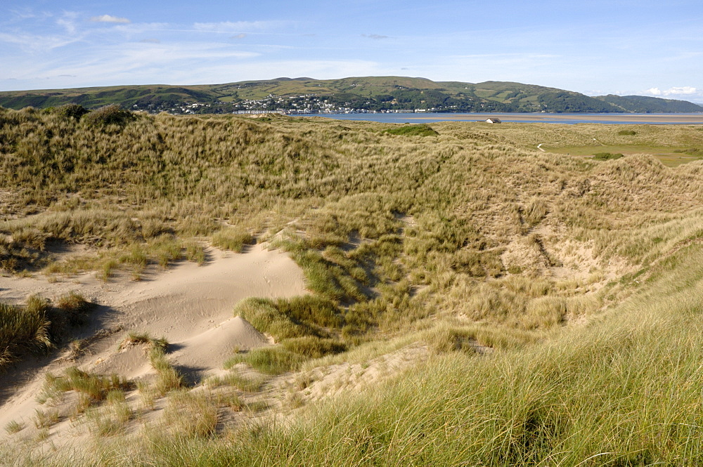 Ynyslas dunes, National Nature Reserve, Ceredigion, Wales, UK, Europe