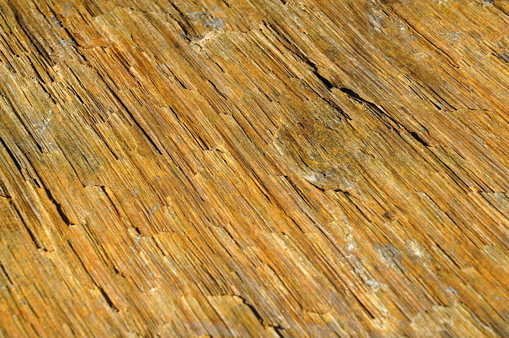 Slickensides on fault plane, Marloes Sands, Marloes, Pembrokeshire, Wales, UK, Europe