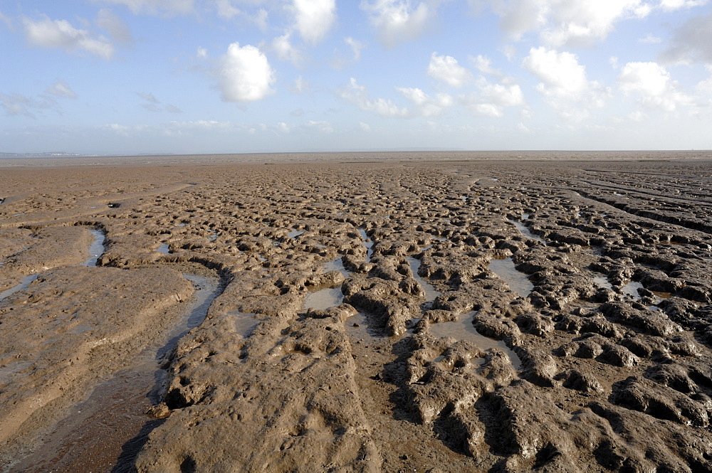 Mudflat, Goldcliff, Gwent Levels, Newport, Wales, UK, Europe