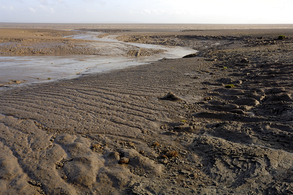 Goldcliff Pill mudflat, Goldcliff, Gwent Levels, Newport, Wales, UK, Europe