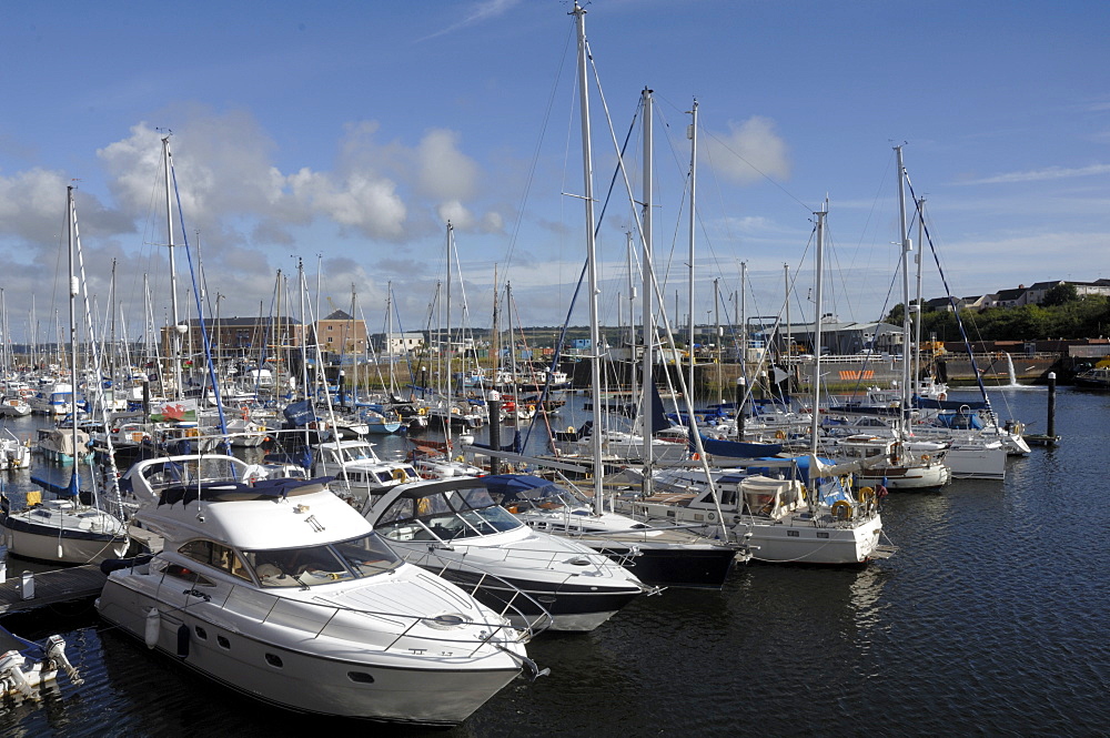 Marina, Milford Docks, Wales UK